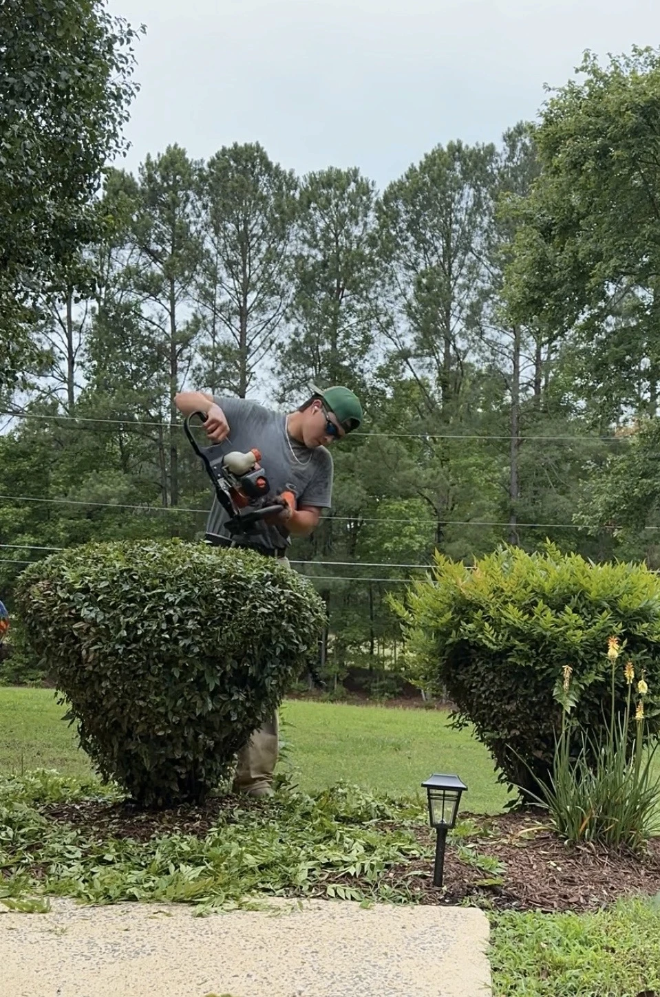Grass Geeks crew member hand-trimming shrubs in a mulched landscape bed