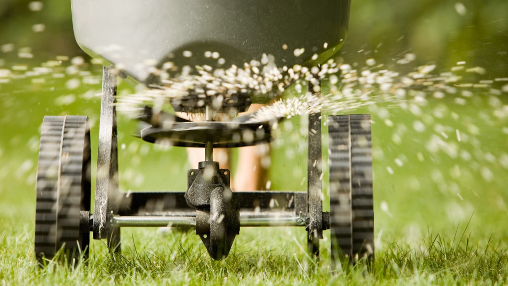 Lawn aeration and seeding service on a residential yard