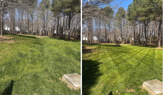 Before and after of a Grass Geeks property cleanup project