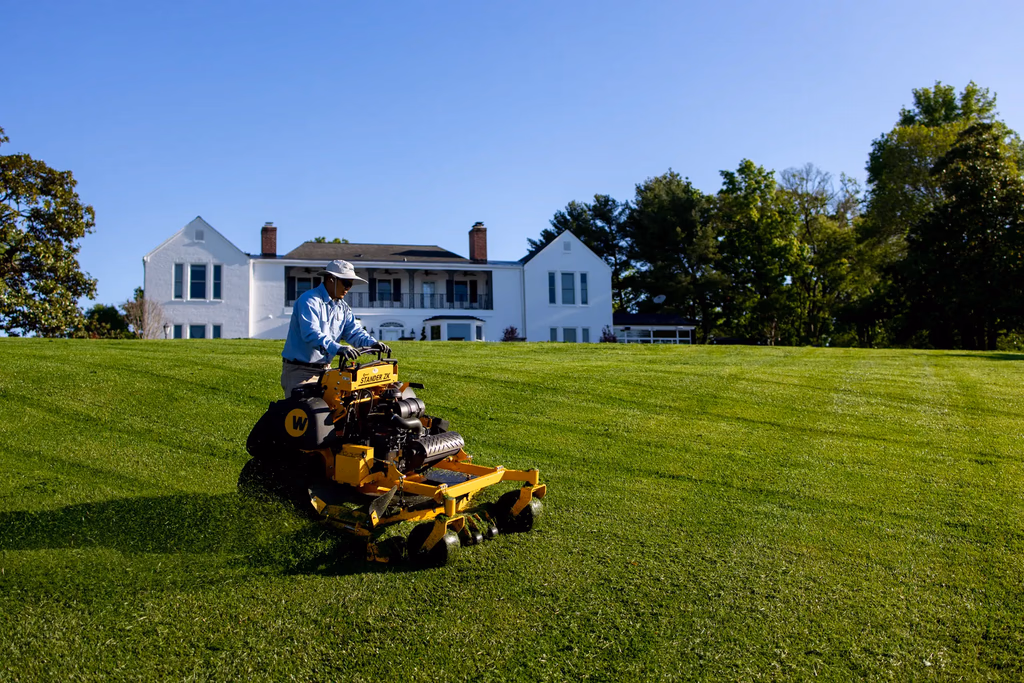 Freshly mowed lawn with clean stripes maintained by Grass Geeks Landscaping
