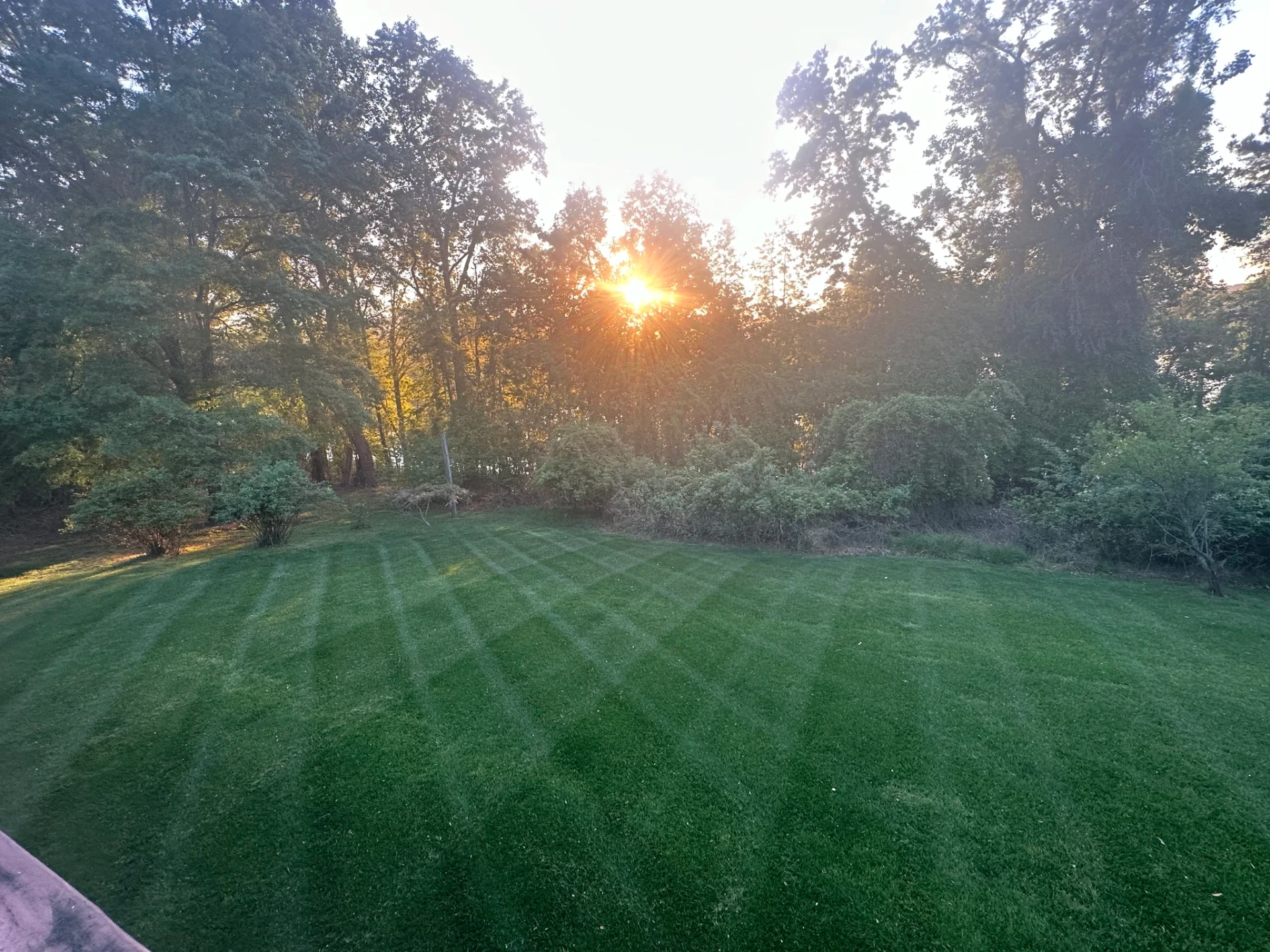 Sunset over a freshly striped lawn maintained by Grass Geeks Landscaping