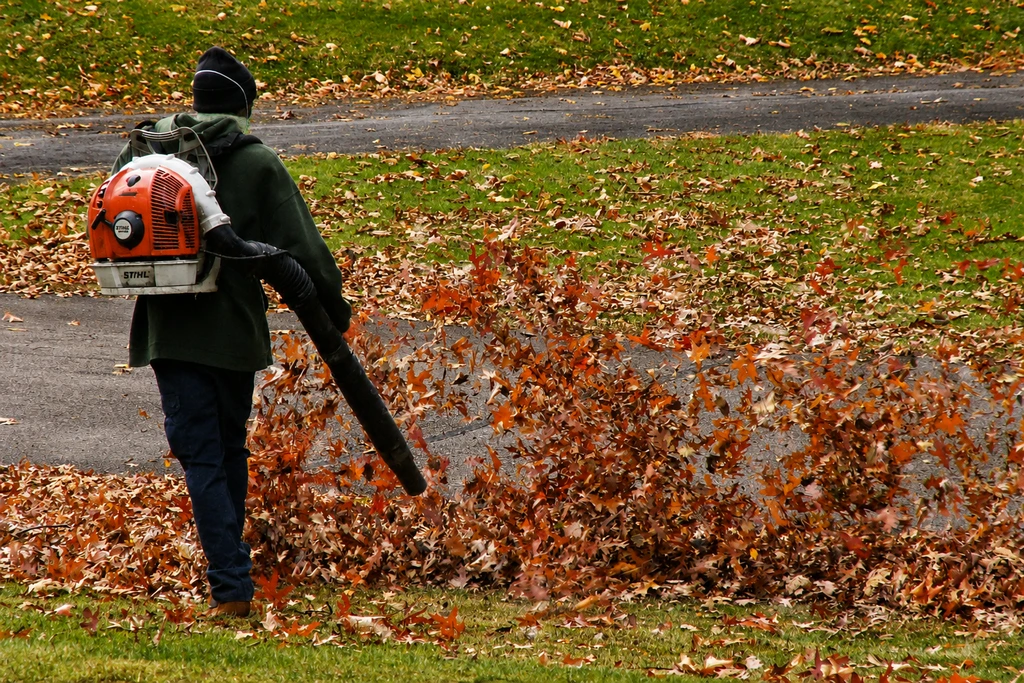 Fall leaf cleanup with a backpack blower clearing leaves from a lawn