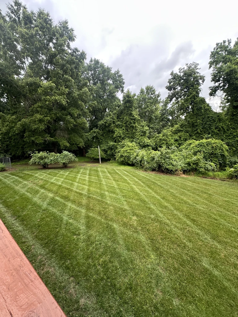 Large striped backyard lawn mowed by Grass Geeks Landscaping
