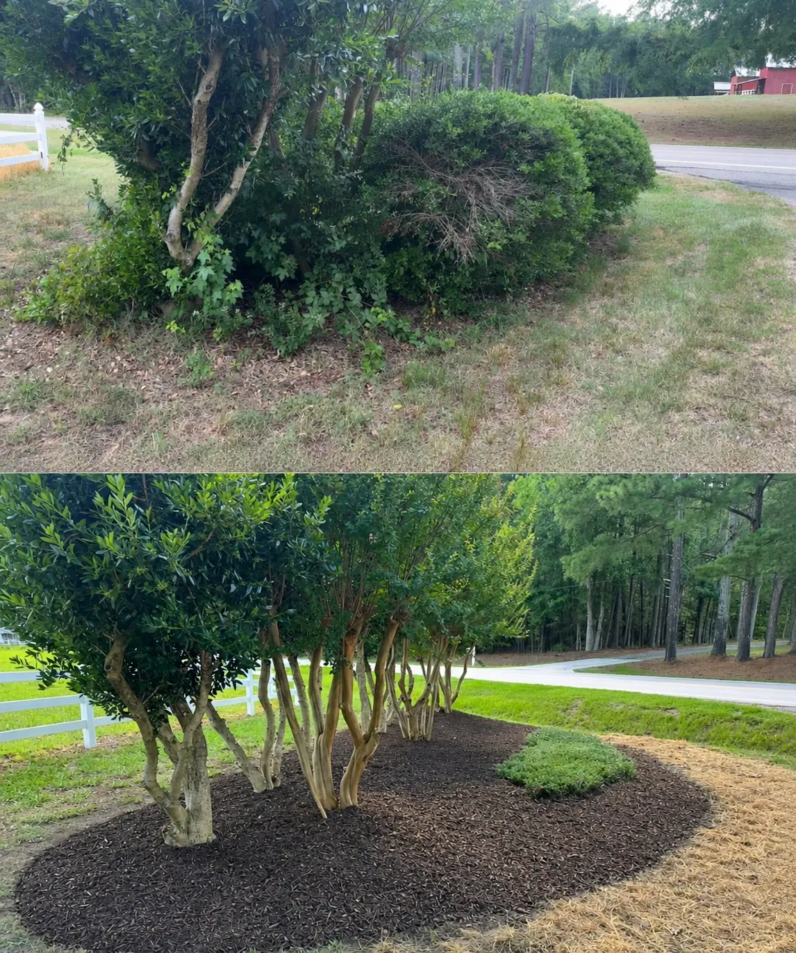 Before and after of a mulched bed with bushes and trees refreshed by Grass Geeks