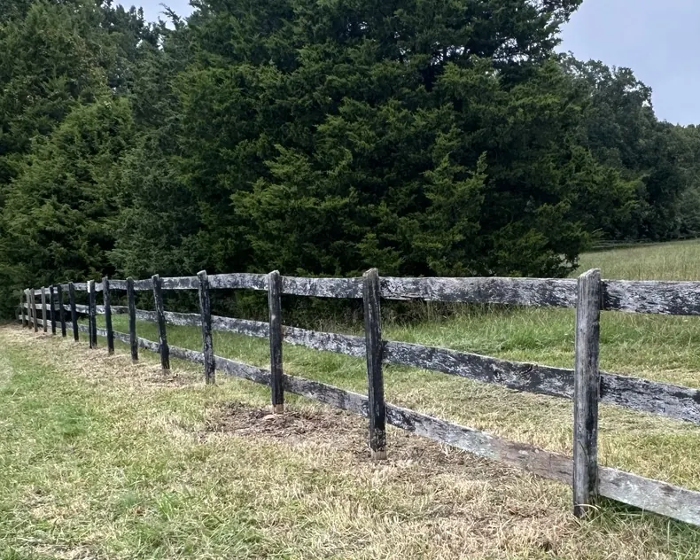 After: the same fence line cleared, posts and rails visible