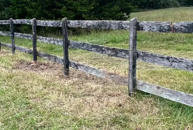 The same fence line cleared, posts and rails visible again