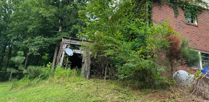 Brush and vines grown up against the back of a brick house before clearing